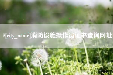 邯郸消防设施操作员证书查询网址