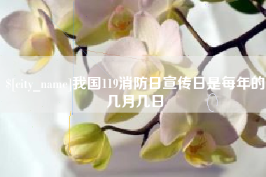 邯郸我国119消防日宣传日是每年的几月几日