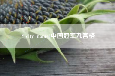 邯郸中国冠军九宫格