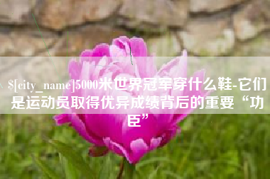 邯郸5000米世界冠军穿什么鞋-它们是运动员取得优异成绩背后的重要“功臣”