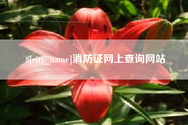邯郸消防证网上查询网站