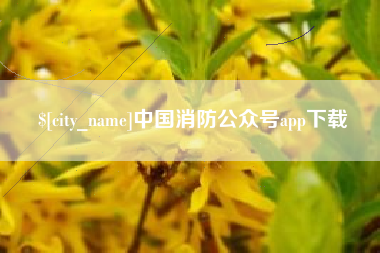 邯郸中国消防公众号app下载