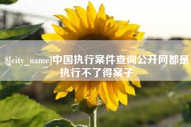 邯郸中国执行案件查询公开网都是执行不了得案子
