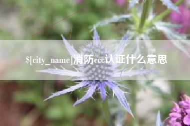 邯郸消防ccc认证什么意思