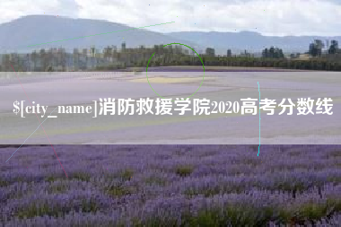 邯郸消防救援学院2020高考分数线