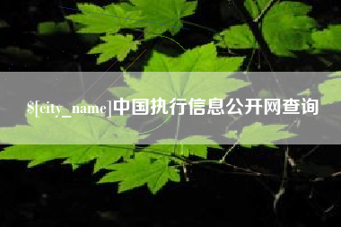 邯郸中国执行信息公开网查询