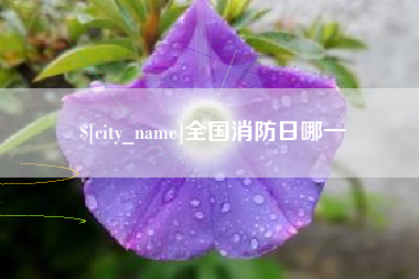 邯郸全国消防日哪一