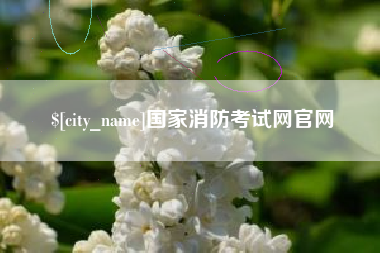 邯郸国家消防考试网官网