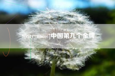 邯郸中国第九个金牌