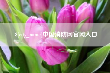 邯郸中国消防网官网入口