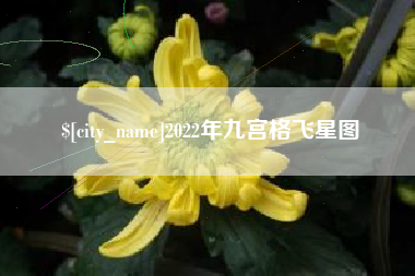 邯郸2022年九宫格飞星图