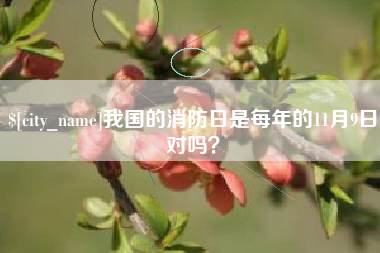 邯郸我国的消防日是每年的11月9日对吗？