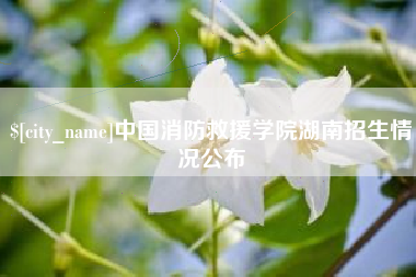 邯郸中国消防救援学院湖南招生情况公布