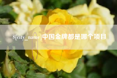 邯郸中国金牌都是哪个项目