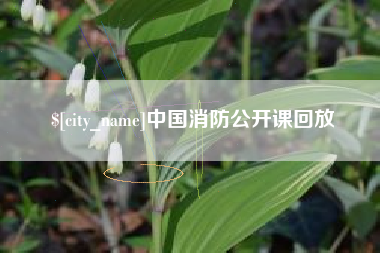 邯郸中国消防公开课回放