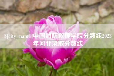 邯郸中国消防救援学院分数线2023年河北录取分数线