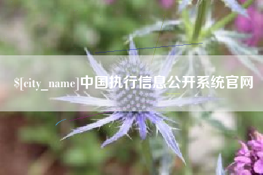 邯郸中国执行信息公开系统官网