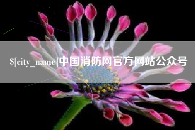 邯郸中国消防网官方网站公众号