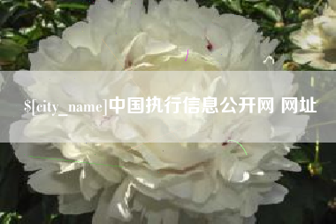 邯郸中国执行信息公开网 网址