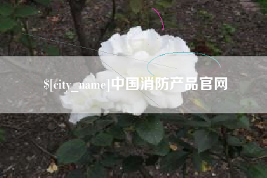 邯郸中国消防产品官网