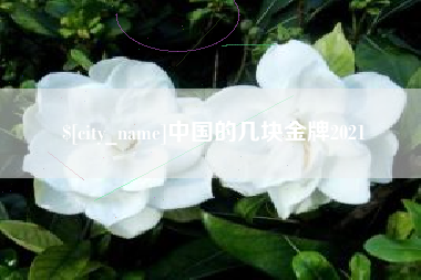 邯郸中国的几块金牌2021