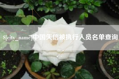 邯郸中国失信被执行人员名单查询