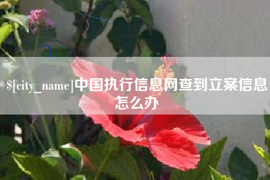 邯郸中国执行信息网查到立案信息怎么办