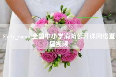 邯郸全国中小学消防公开课网络直播视频