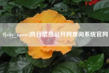 邯郸执行信息公开网查询系统官网