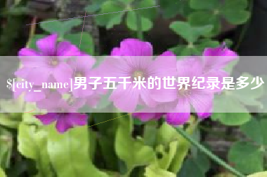 邯郸男子五千米的世界纪录是多少
