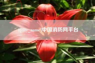 邯郸中国消防网平台