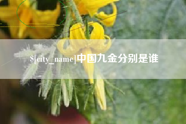 邯郸中国九金分别是谁