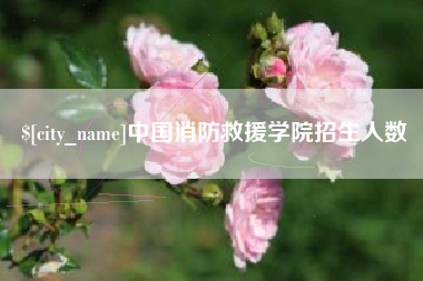 邯郸中国消防救援学院招生人数