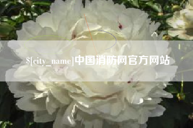 邯郸中国消防网官方网站