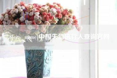 邯郸中国失信执行人查询官网