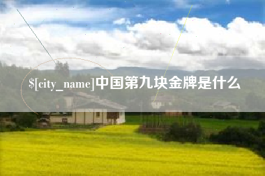 邯郸中国第九块金牌是什么