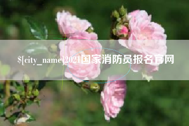 邯郸2021国家消防员报名官网