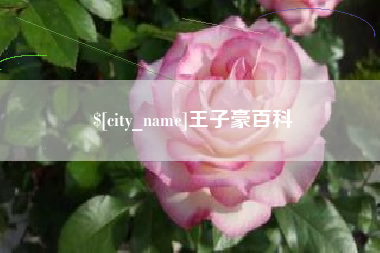 邯郸王子豪百科