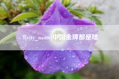 邯郸中国金牌都是啥