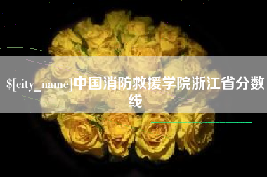邯郸中国消防救援学院浙江省分数线