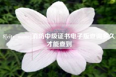 邯郸消防中级证书电子版查询多久才能查到