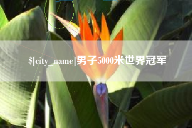 邯郸男子5000米世界冠军