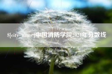 邯郸中国消防学院2024年分数线
