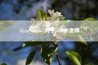 邯郸男子5000米金牌
