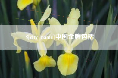 邯郸中国金牌包括
