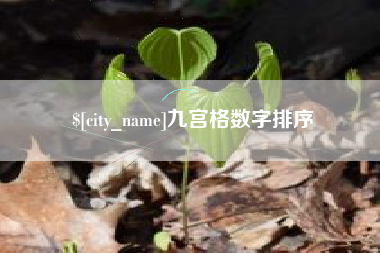 邯郸九宫格数字排序