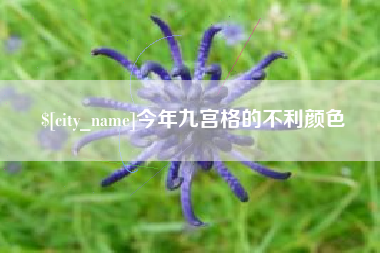 邯郸今年九宫格的不利颜色