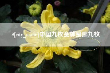邯郸中国九枚金牌是哪九枚