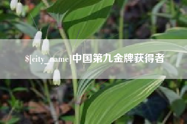 邯郸中国第九金牌获得者