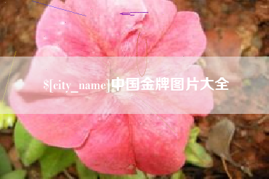 邯郸中国金牌图片大全